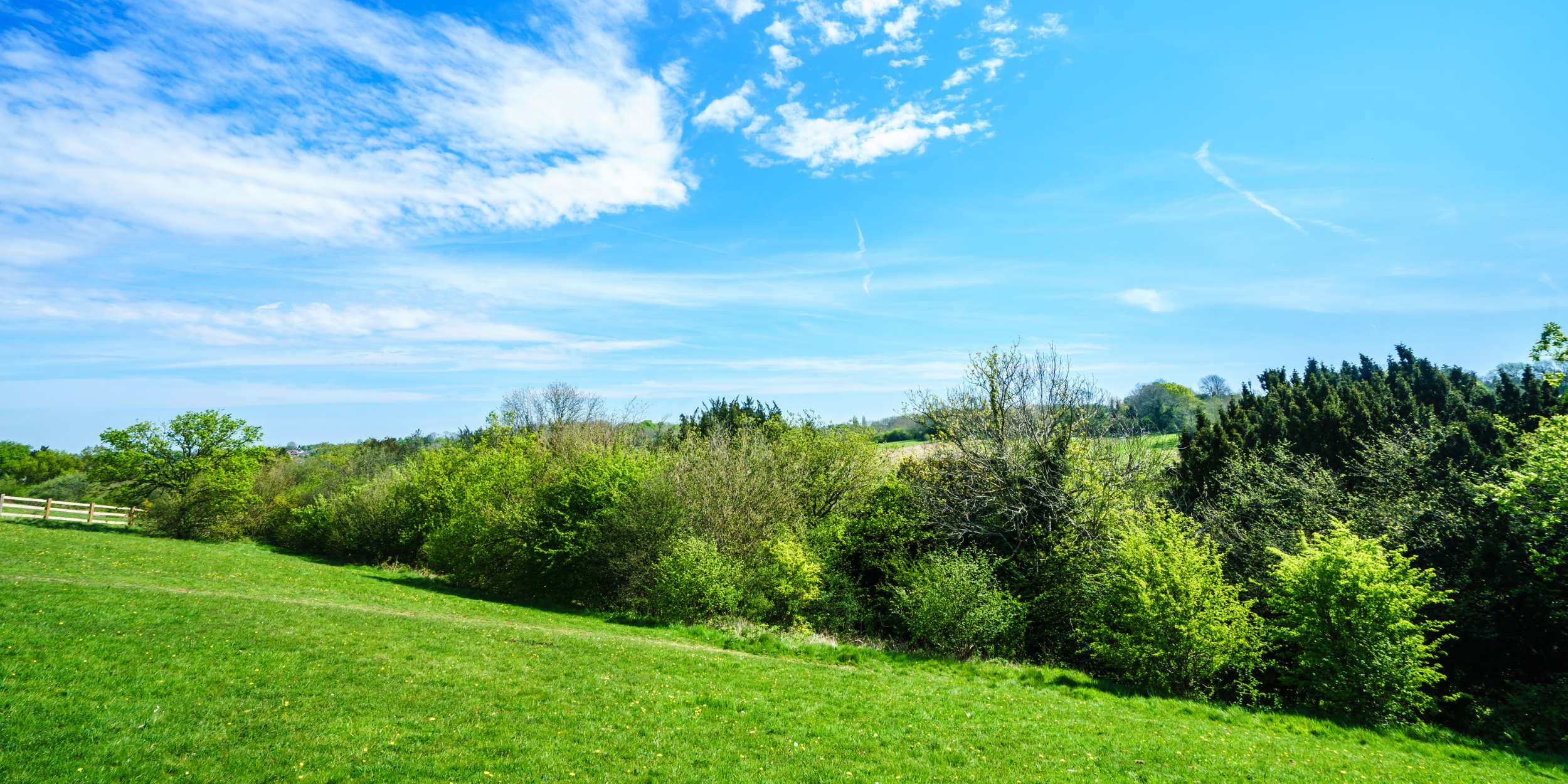 Defra’s emissions of air pollutants publication 2024