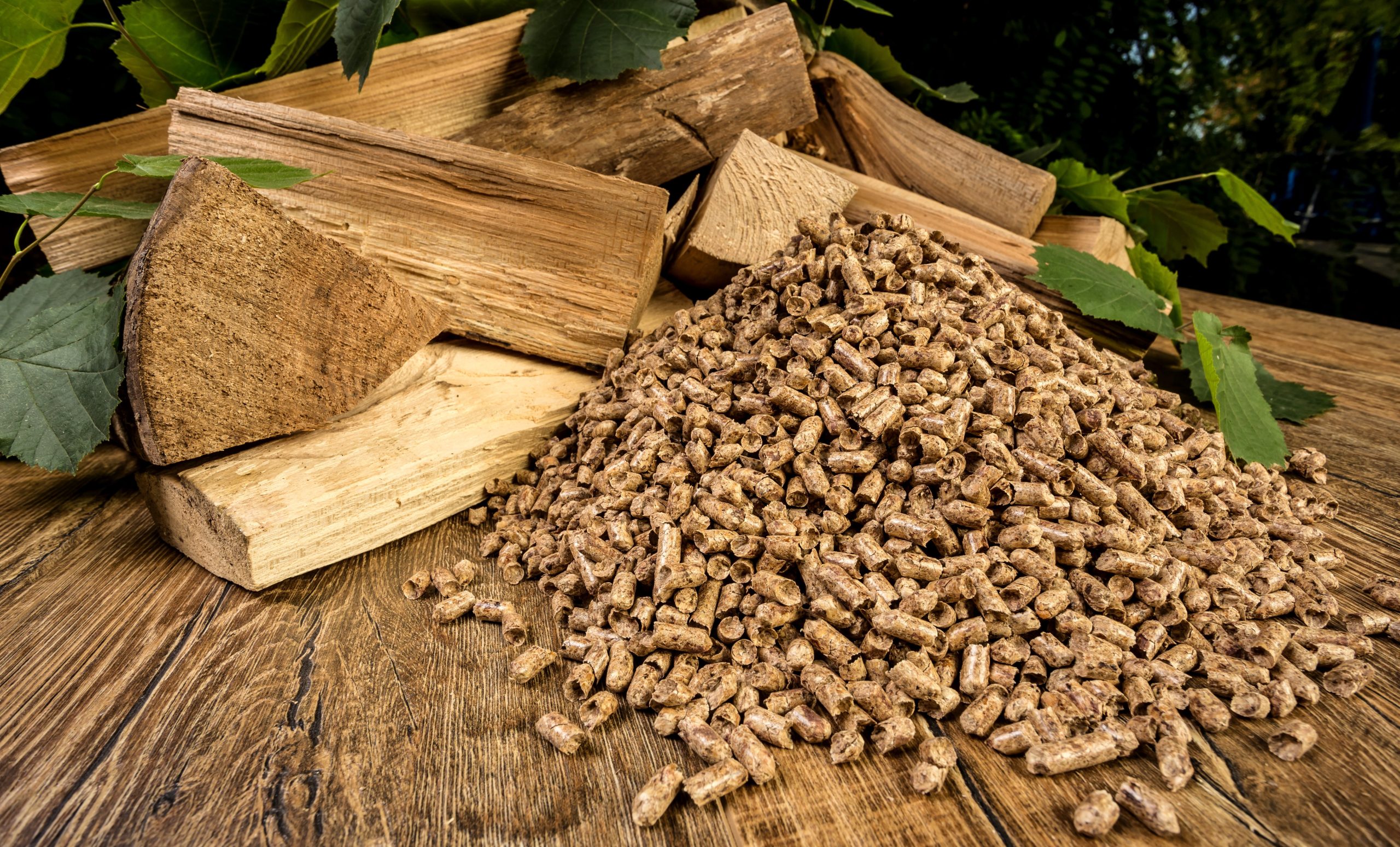 What is the difference between Woodsure and the Biomass Suppliers List?