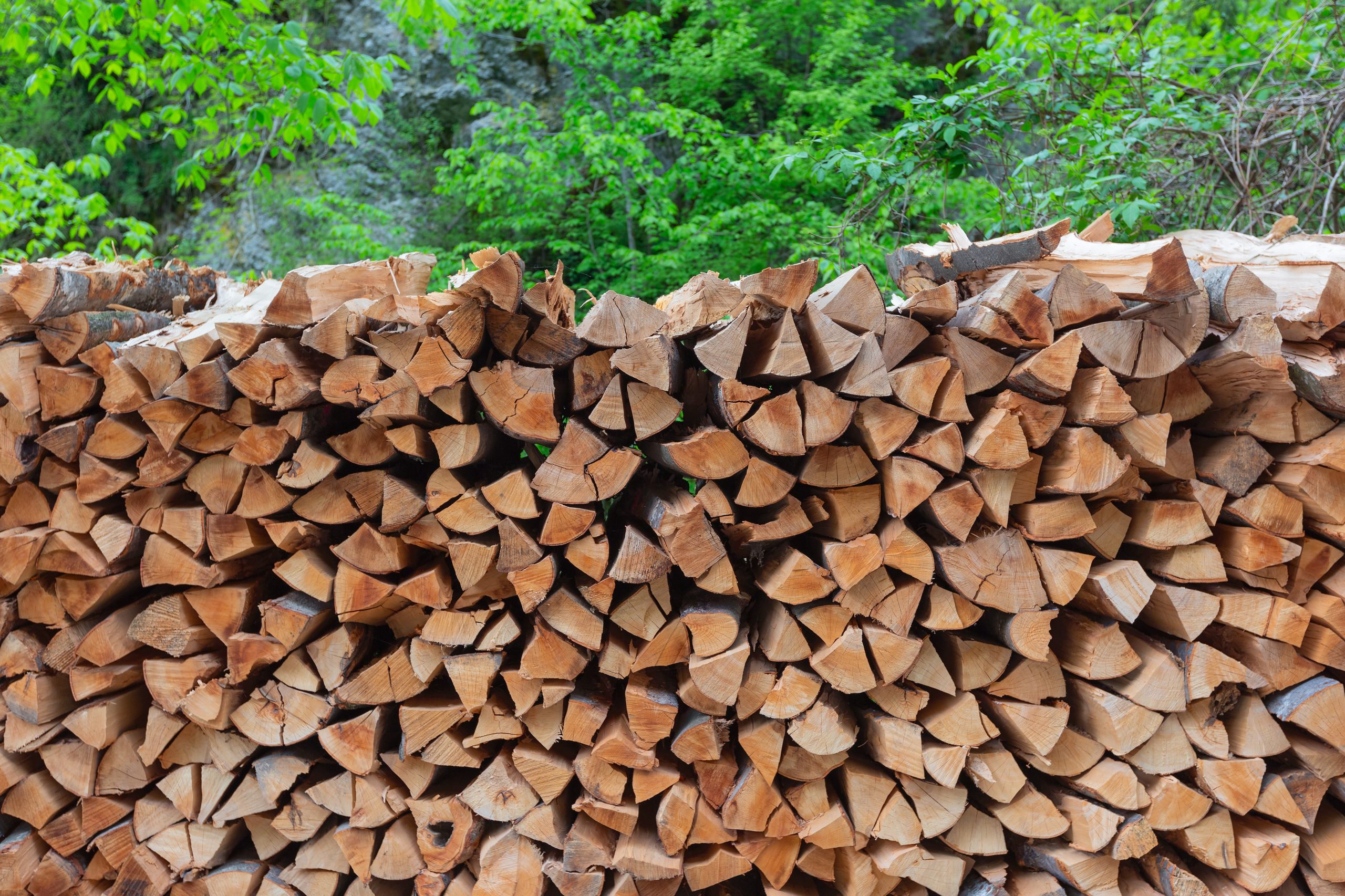 What is Woodsure?