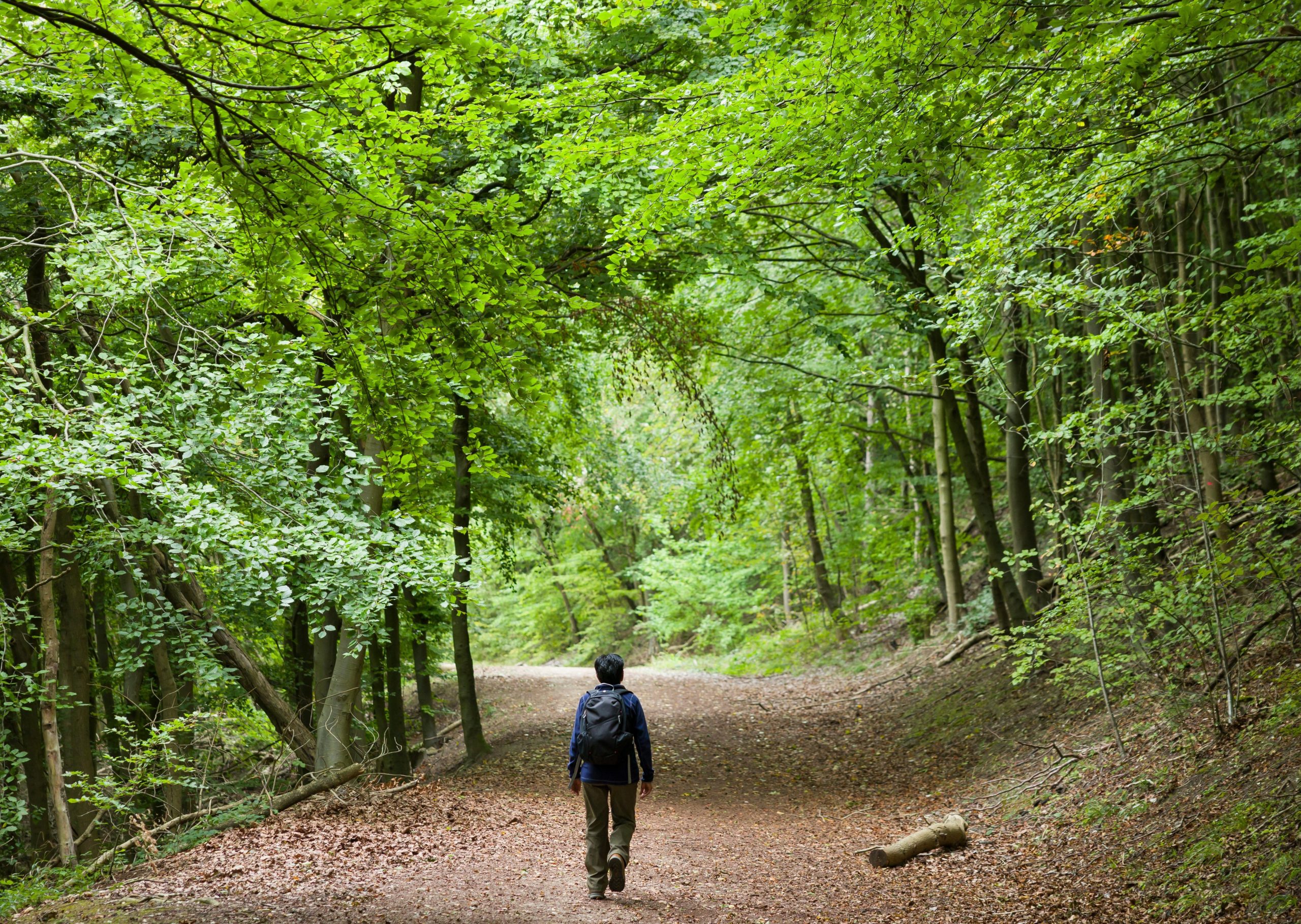 Woodsure and sustainability: looking to the future