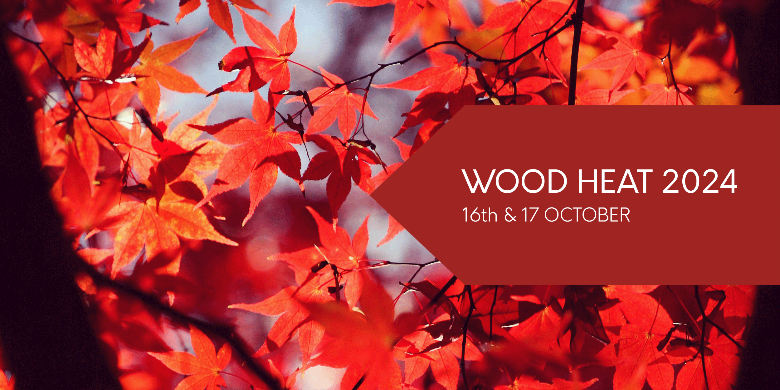 REA Wood Heat Conference 2024