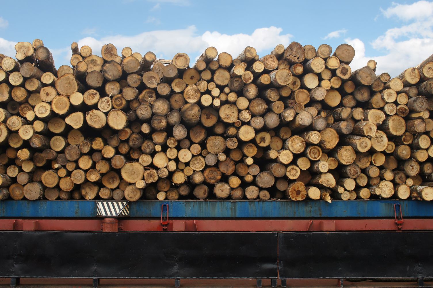 Dutch sustainability scandal highlights the value of robust wood fuel certification 